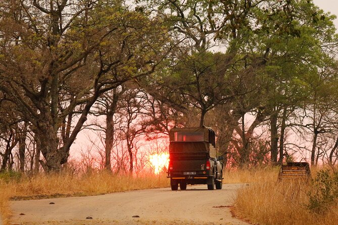 Kruger National Park sunrise Morning Private safari - Who will get the most from this safari