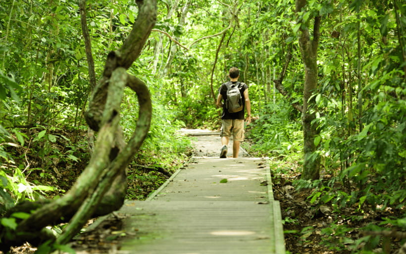 Kuala Lumpur: Taman Negara National Park Teras Waterfall - What to pack for the rainforest