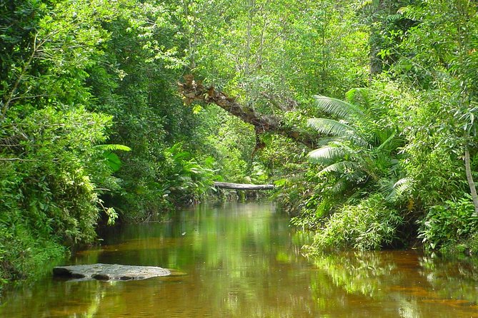 Kulen National Park Ticket - Phnom Kulen Waterfall, the day’s scenic reward