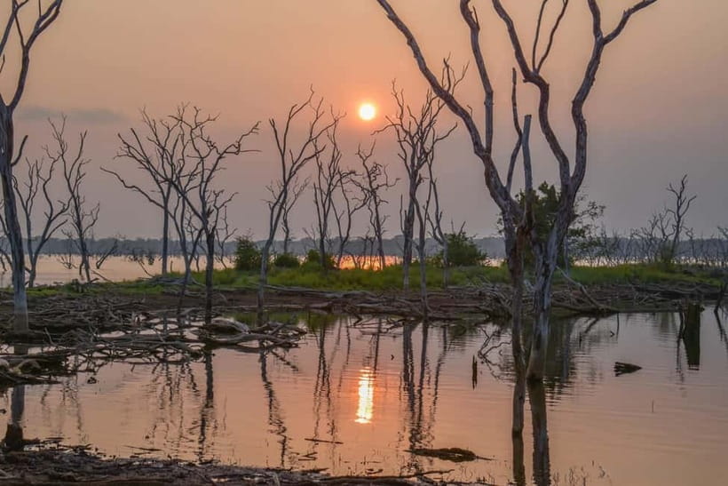 Kumana National Park Leopard Safari PRIVATE Tour - How to improve your chances of a good outing