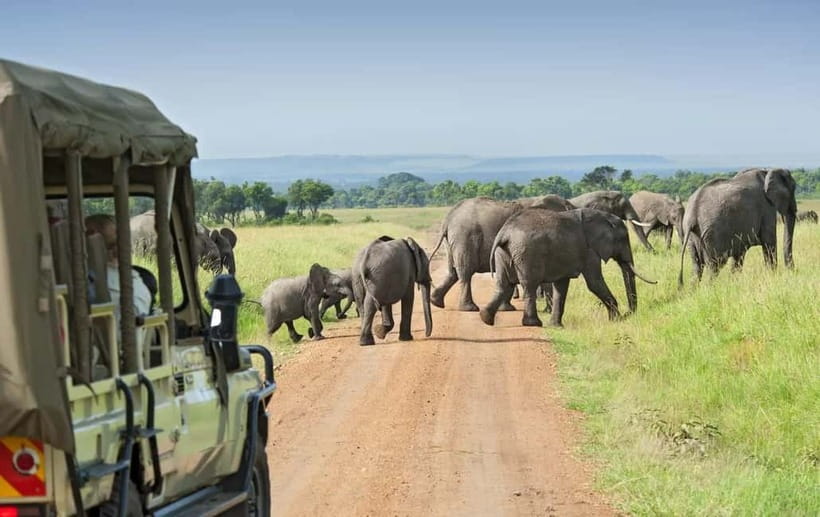 Kumana National Park Leopard Safari PRIVATE Tour - Four hours among Kumana’s forests and wetlands