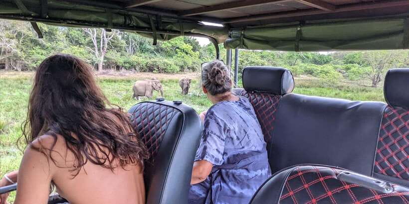 Kumana National Park : Morning or Afternoon Safari (6 h) - Birdwatching is the strongest reason to choose this safari