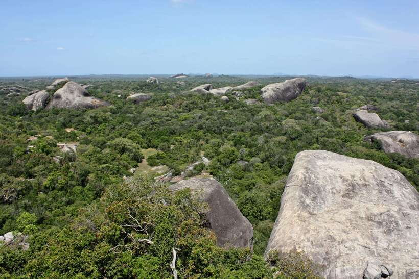 Kumana National Park : Morning or Afternoon Safari Tour - Kumbukkan Oya and the larger animals
