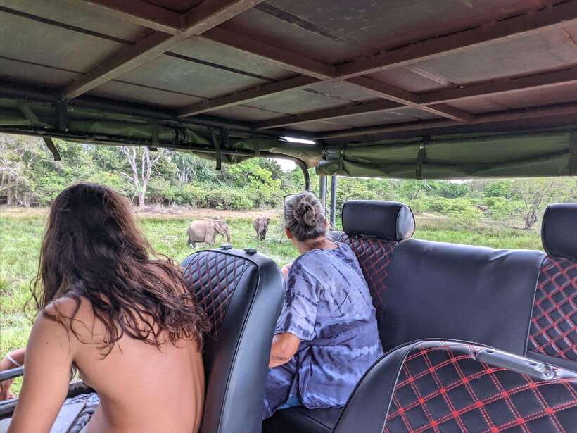 Kumana National Park : Morning or Afternoon Safari Tour - Guides, photography, and the quality of the outing