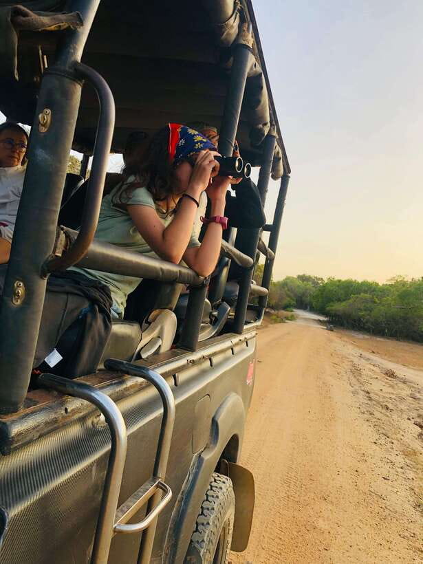 Kumana National Park : Private Half-Day Jeep Safari - The animals you might see
