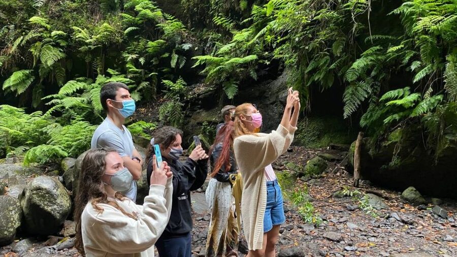 La Gomera: Garajonay National Park Entry Ticket and Tour - Starting at San Sebastián’s bus station