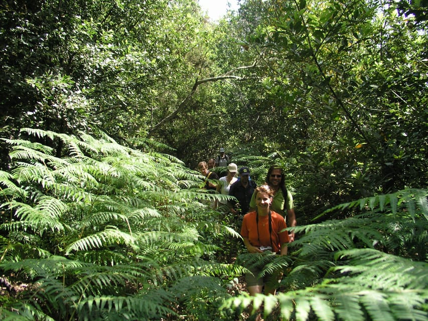 La Gomera: The Rain Forest (national park) - What to pack for the forest