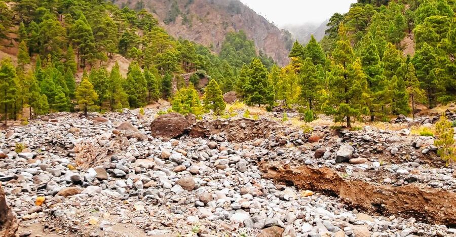 La Palma: Caldera de Taburiente National Park Guided Hike - Key points at a glance
