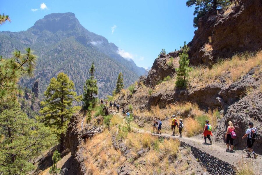 La Palma: Caldera de Taburiente National Park Guided Hike - Pine shade, cedar trees, and the PR LP 13 trail