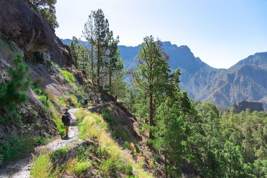 La Palma: Caldera de Taburiente National Park Guided Hike - Wooden bridges and the cool waters of Playa de Taburiente