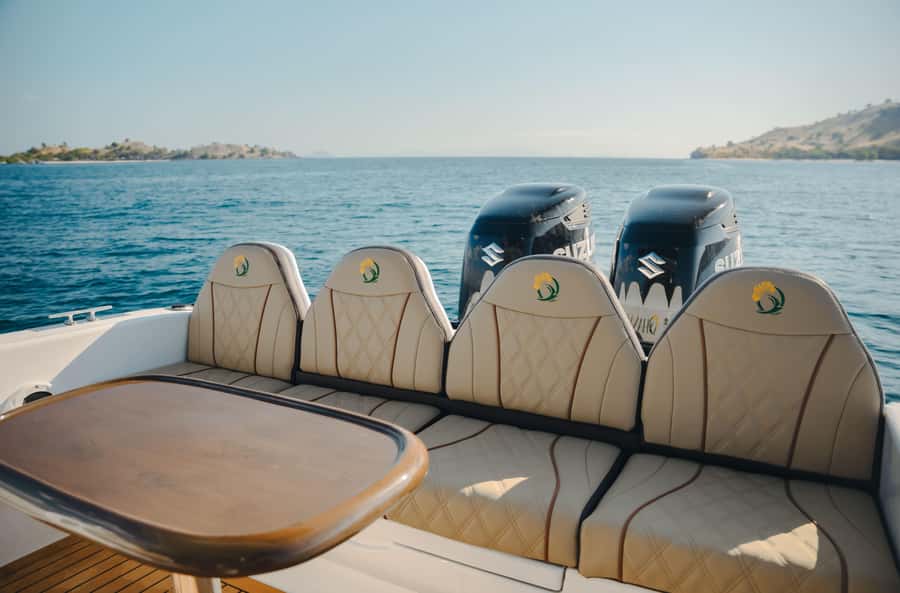 Labuan Bajo: Komodo National Park Full-Day Speedboat Tour - Manta Point: the biggest wildlife gamble