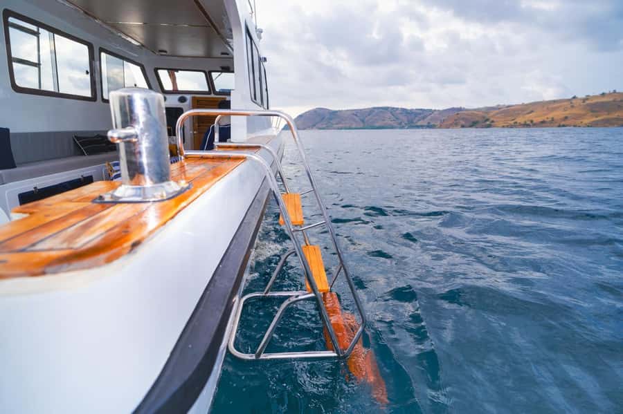Labuan Bajo: One Day Tour to Explore Komodo National Park - Quick facts about this Komodo day tour