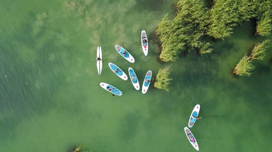 Lake Balaton: Paddle Board Tour of Tihany National Park - Starting at Club Tihany near the ferry