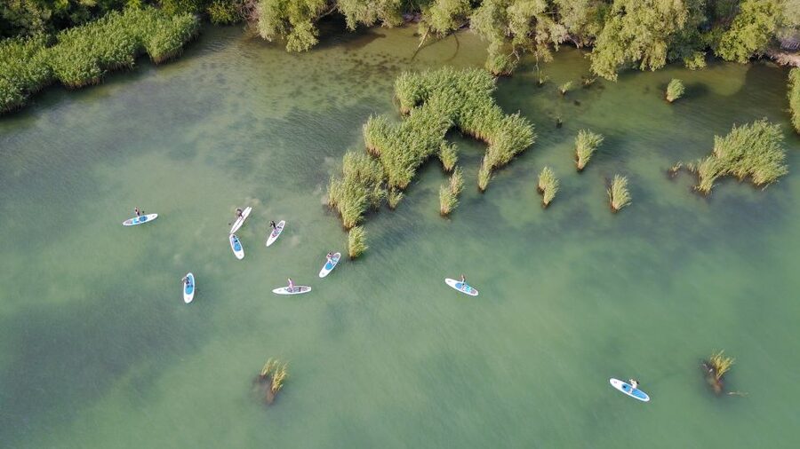 Lake Balaton: Paddle Board Tour of Tihany National Park - Paddling through the quiet waters near the reeds