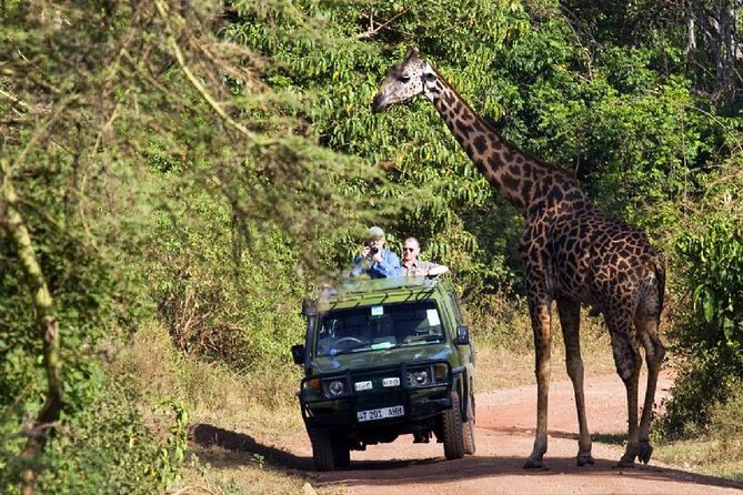 Lake Manyara National Park Full-Day Tour from Arusha - The lake scenery and photo stops