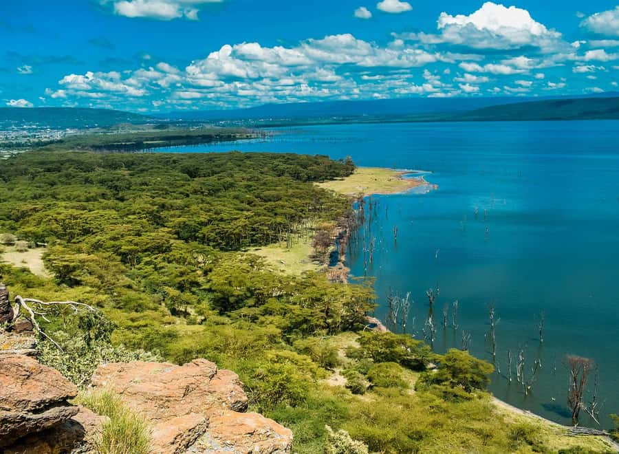 Lake Nakuru National Park: Daytrip in a 4X4 Private Jeep - The 6:00 am ride through the Great Rift Valley