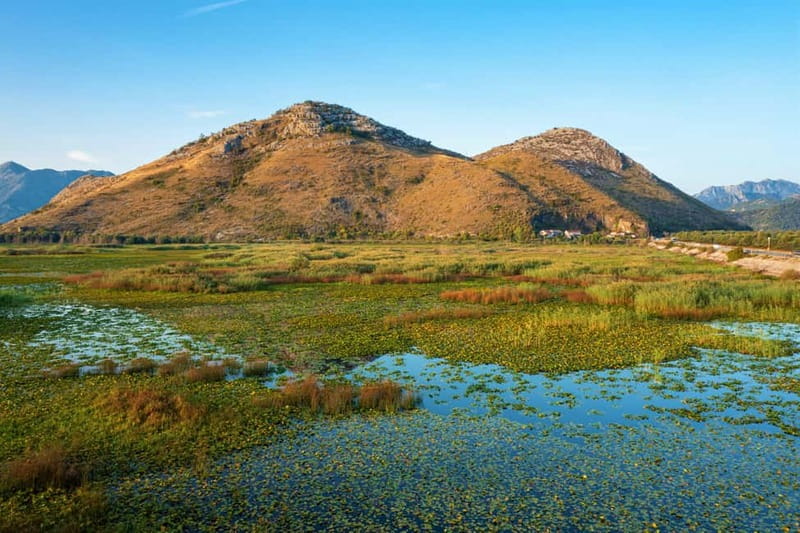 Lake Skadar National Park: Visit the Montenegrin Venice - The long return cruise to Virpazar