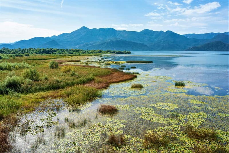 Lake Skadar National Park: Visit the Montenegrin Venice - Is $210 per person good value?
