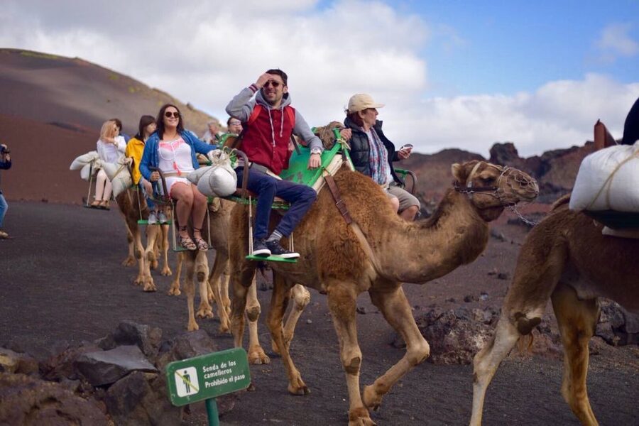 Lanzarote: 5-Hour Timanfaya National Park Southern Tour - The optional camel ride near Yaiza