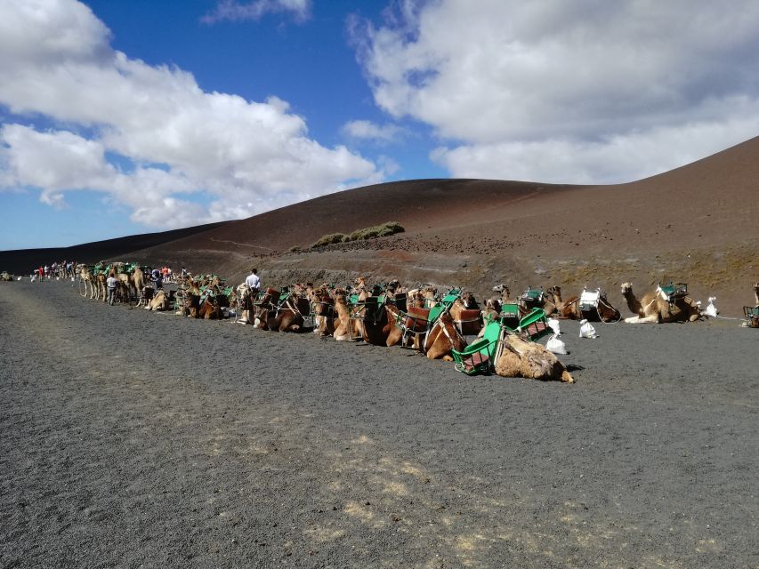 Lanzarote: 5-Hour Timanfaya National Park Southern Tour - What the five-hour schedule really feels like