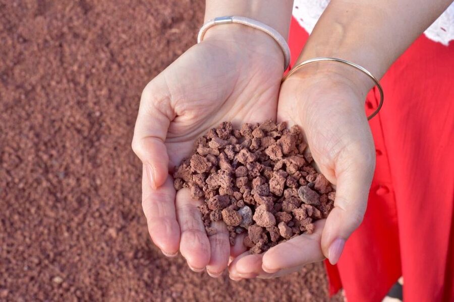 Lanzarote: 5-Hour Timanfaya National Park Southern Tour - Who should book this Lanzarote tour?