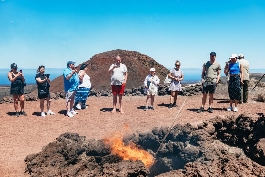 Lanzarote: Timanfaya National Park & La Geria Tour - Why Timanfaya makes this tour worth considering