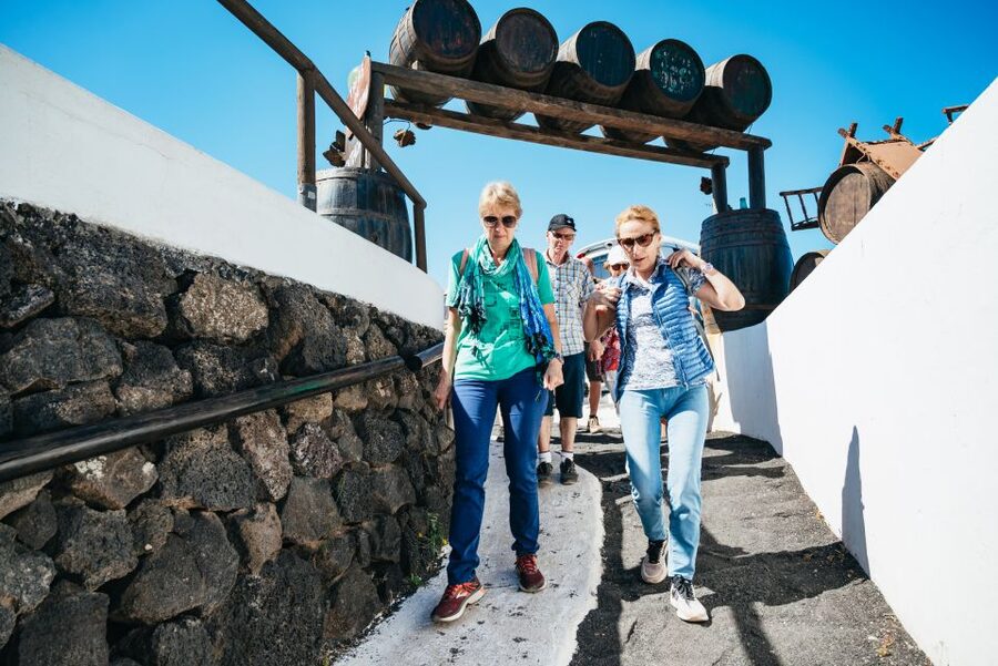 Lanzarote: Timanfaya National Park & La Geria Tour - La Geria, where vineyards grow in black ash