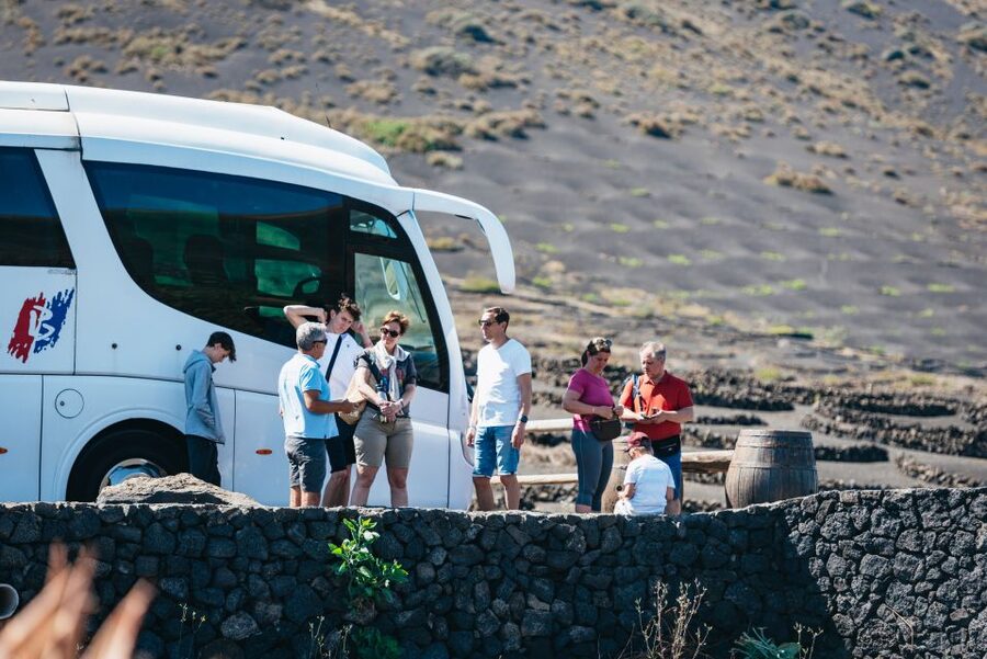 Lanzarote: Timanfaya National Park & La Geria Tour - What the $72 price really covers