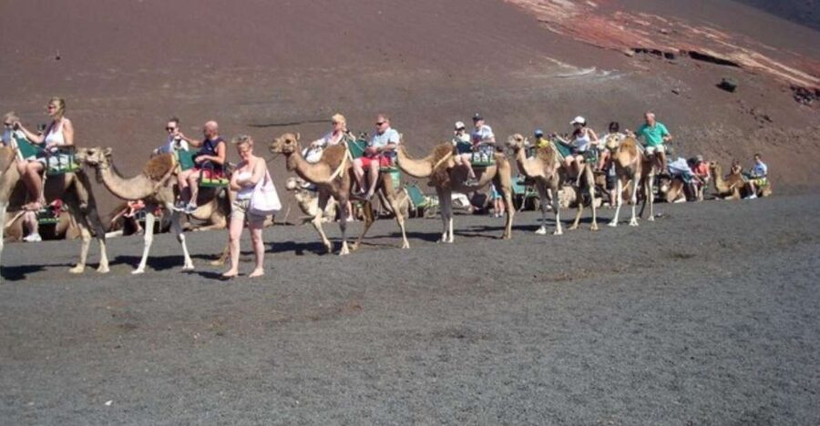 Lanzarote: Timanfaya National Park Tour - The coach route through Timanfaya