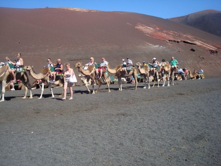 Lanzarote: Timanfaya National Park Tour - Who should book this half-day outing?