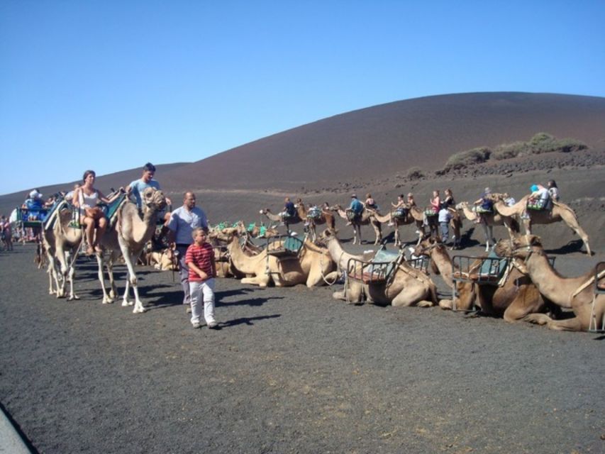 Lanzarote: Timanfaya National Park Tour - Hotel pickup and the six-hour timetable