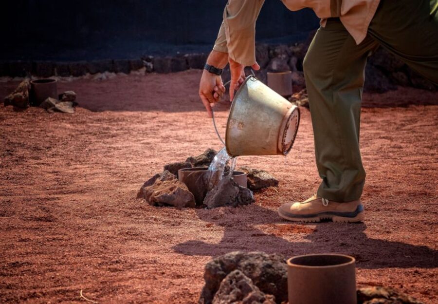Lanzarote: Timanfaya National Park Volcanic Craters Tour - FAQ