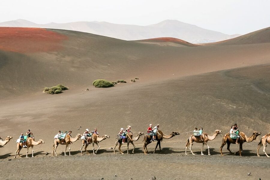 Lanzarote: Timanfaya National Park Volcanic Craters Tour - The one-hour Volcano Route