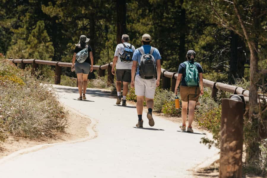 Las Vegas: Bryce and Zion National Parks Tour with Lunch - Who will get the most from this tour