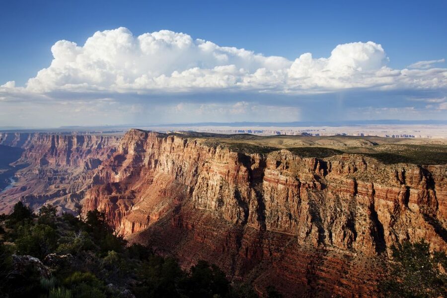 Las Vegas: Grand Canyon National Park Day Tour - Lunch and free time at the Grand Canyon Visitor Center