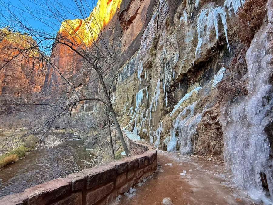 Las Vegas: Zion National Park Group Tour with Lunch - The early start from Las Vegas