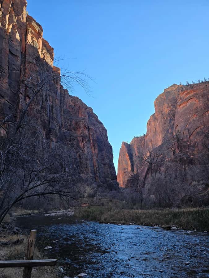 Las Vegas: Zion National Park Group Tour with Lunch - Riverside Walk and the Virgin River