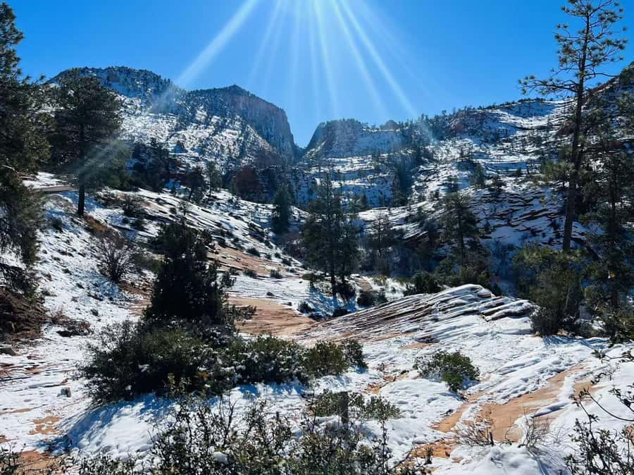 Las Vegas: Zion National Park Group Tour with Lunch - What the guides add