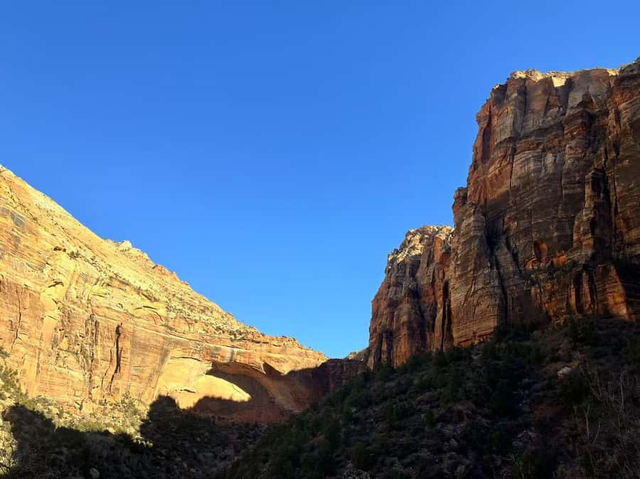 Las Vegas: Zion National Park Group Tour with Lunch - Price and the 2026 nonresident charge