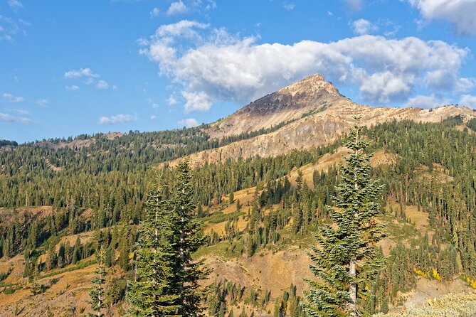 Lassen Volcanic National Park Self-Guided Audio Driving Tour - Diamond Peak Scenic Vista: make time for the view