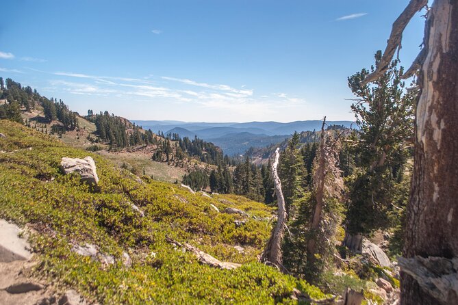 Lassen Volcanic National Park Self-Guided Audio Driving Tour - Little Hot Springs Valley: steam among the trees