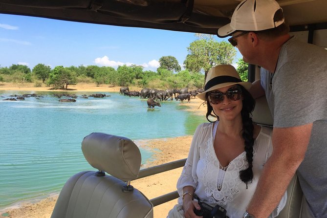 Leopard Safari Tour in Yala National Park - Key points before you book