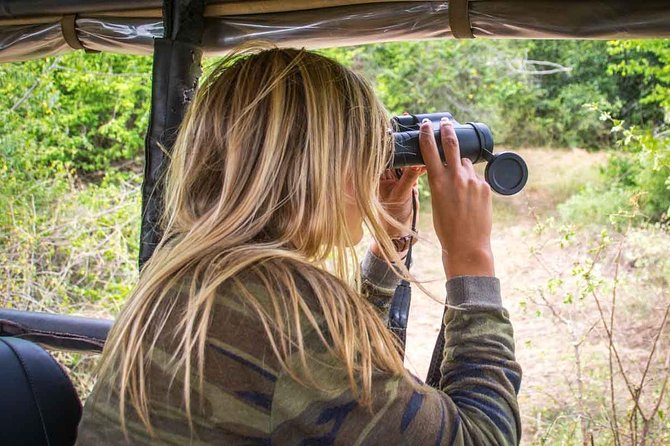 Leopard Safari Tour in Yala National Park - The first search for leopards