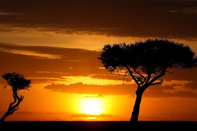 Leopard Safari Tour in Yala National Park - What the 4 to 14-hour range really means