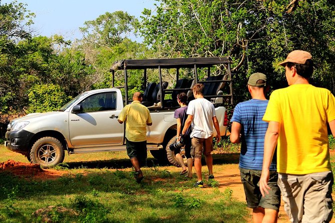 Leopard Safari Tour in Yala National Park - The true price of this safari