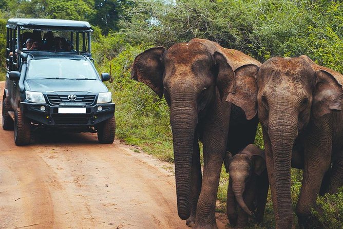 Leopard Safari Tour in Yala National Park - Starting at the Yala gate