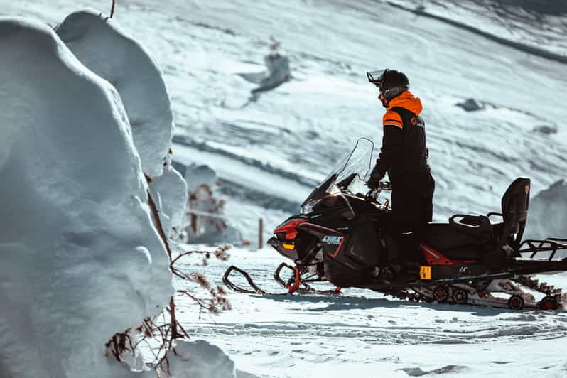 Levi: Full Day Snowmobile Safari to Wilderness - Following quieter tracks into Lapland