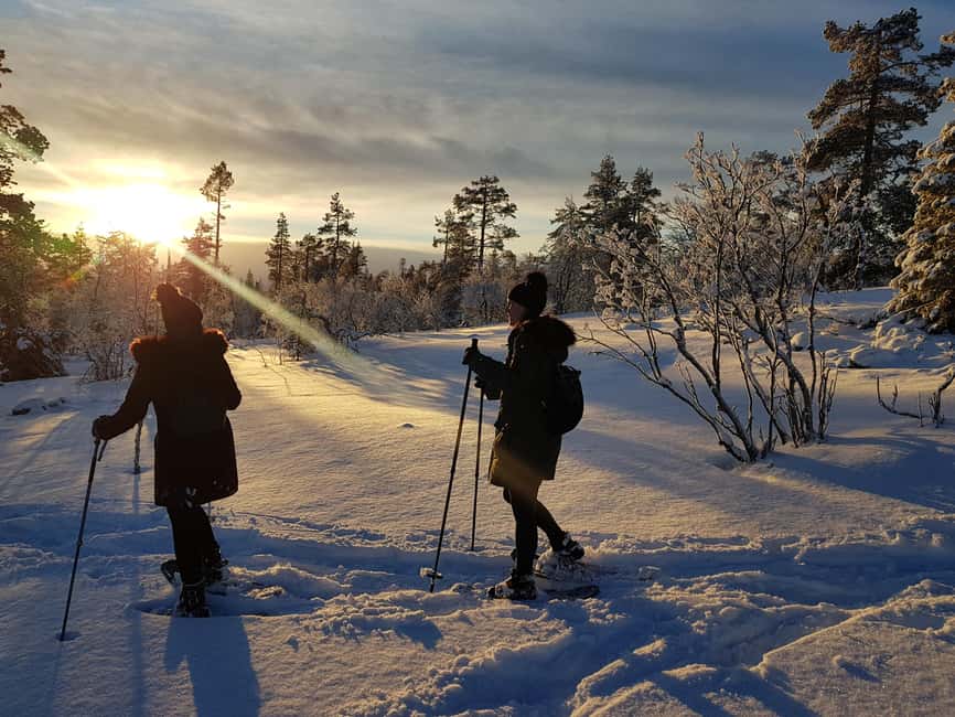 Levi: Gentle Snowshoe Walk in Winter Wilderness - Walking beneath Kätkä Fell