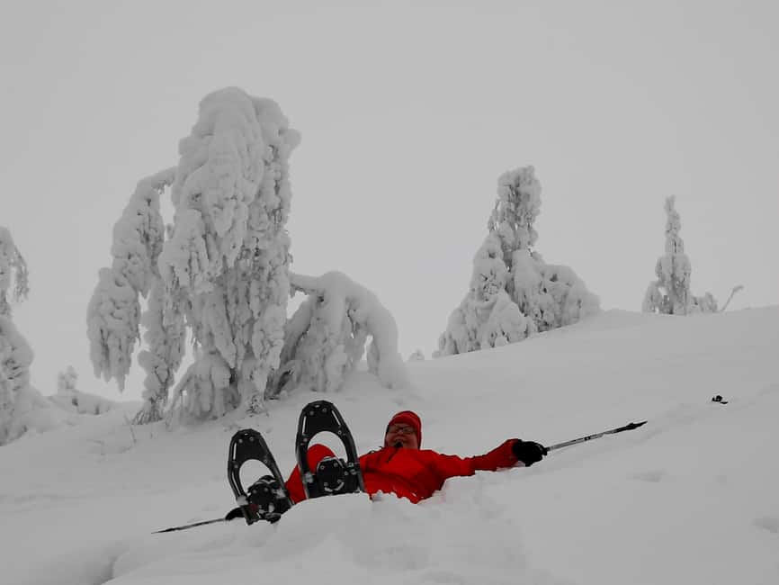 Levi: Gentle Snowshoe Walk in Winter Wilderness - Stories about Arctic nature and northern life