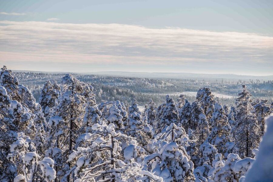 Levi: Pallas National Park Adventure with Pro Photos & BBQ - Is $145 a fair price?